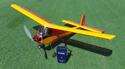 Cardinal with Pixie
