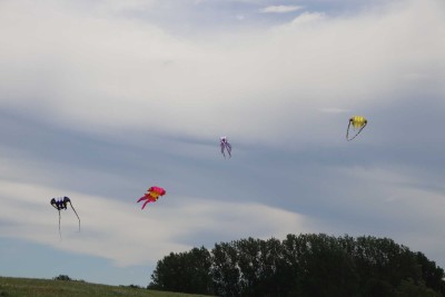IMG_4229.JPG