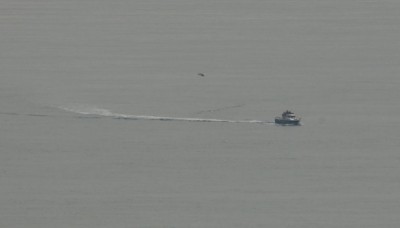 As seen through a 600 mm tele lens from our spot on the cliff top.<br />The black spot, just above the wake trail is what we were waiting for.