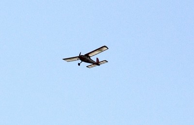 Gliding In For Landing.jpg