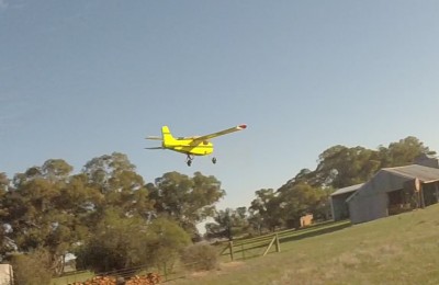 PB_fly-4.jpg