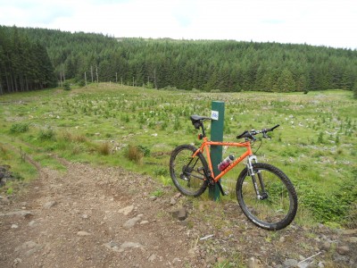 DSCN0481.JPG