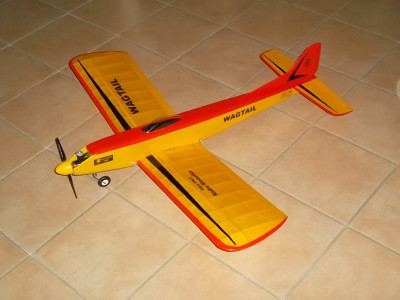 Wagtail2.JPG