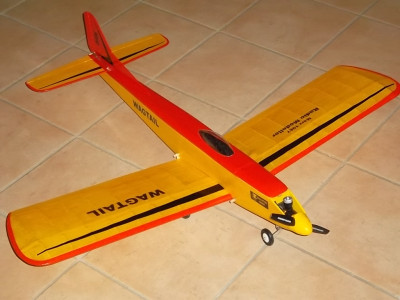 Wagtail4.JPG