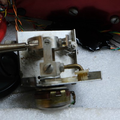 DSCF9515.JPG
