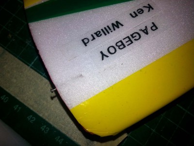 pins inserted into the wingtips at the CG location