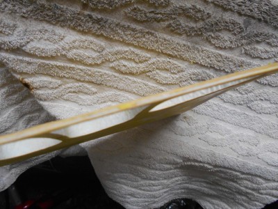 HH Martin wing (2).JPG