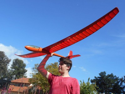 Orange Hawk (2).JPG