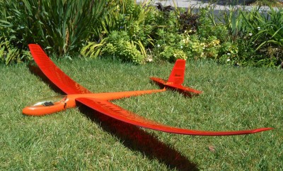 Orange Hawk (4).JPG