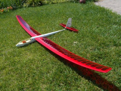 Carillo Hawk (3).JPG