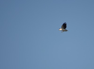 DSC_0405jpg_028a.jpg