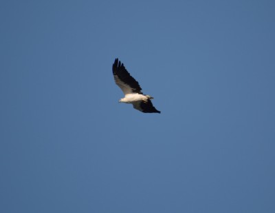 DSC_0407jpg_029a.jpg