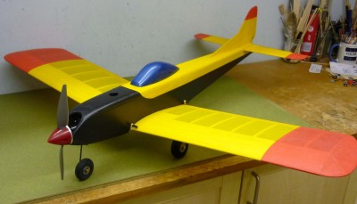 Wagtail 2.jpg