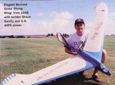 Gross Wing.JPG