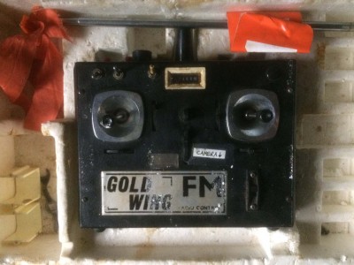 Gold Wing 1.jpg