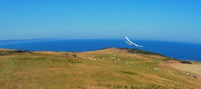 The Merlin proved to be have a lovely glide