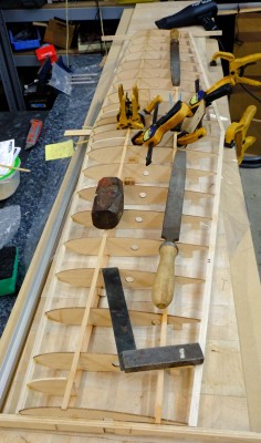 DSCF5228.JPG